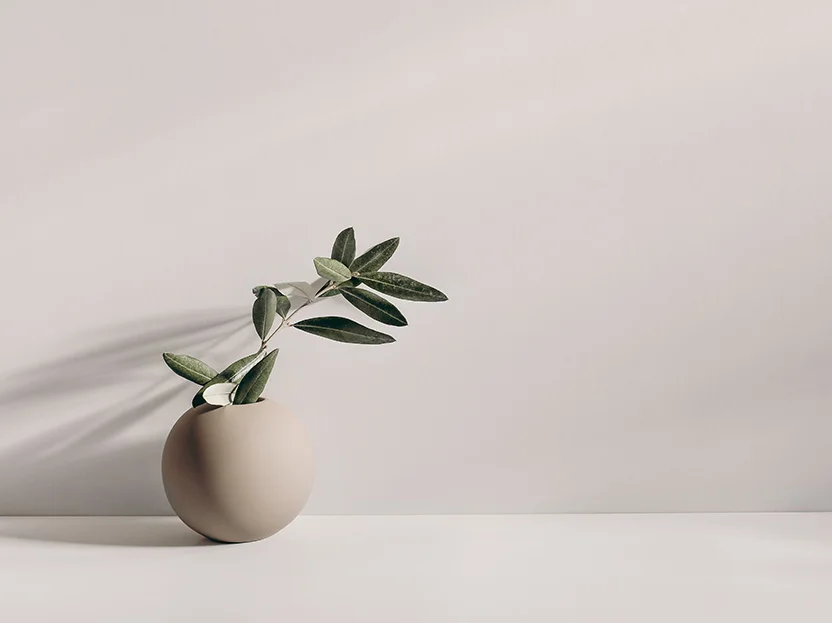 Minimalist Yaşam Nedir: Sadeleşerek Mutluluğu ve Verimliliği Artırmanın Yolları